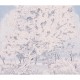 Honpo | Rendezvouz Forest | HO-0077