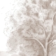 Honpo | Rural Forest