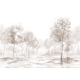 Honpo | Rural Forest