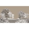 Honpo | Toned Terrain