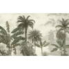 TM | View of Swamp | MUR7036