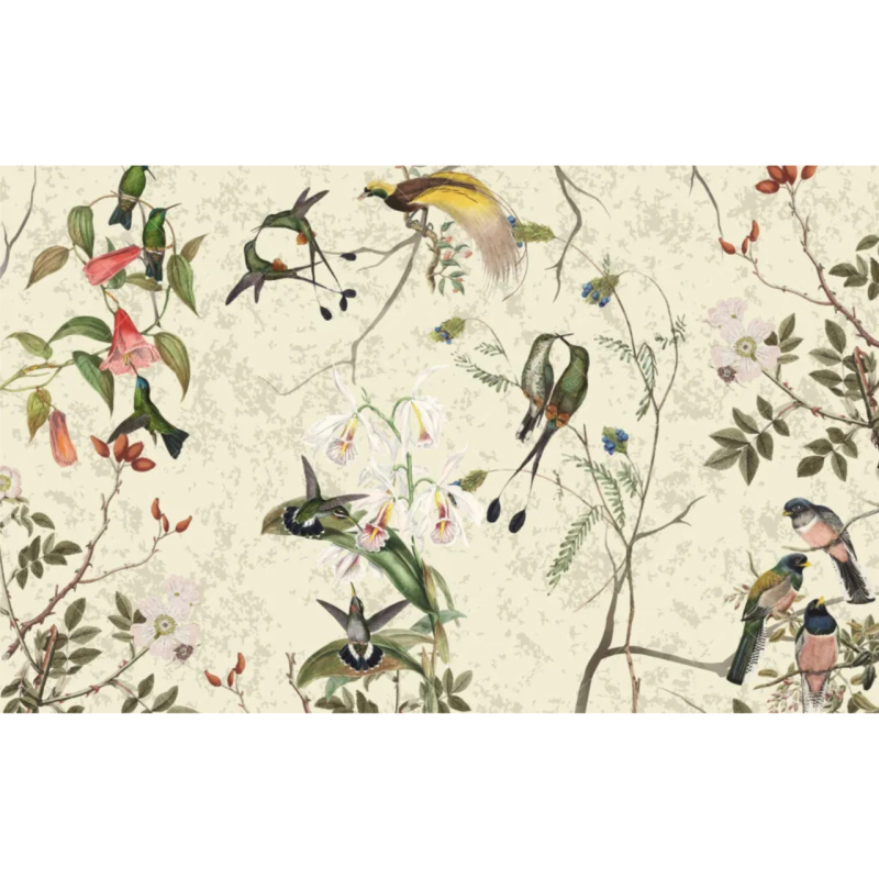 TM | Bird of Paradise | MUR7052