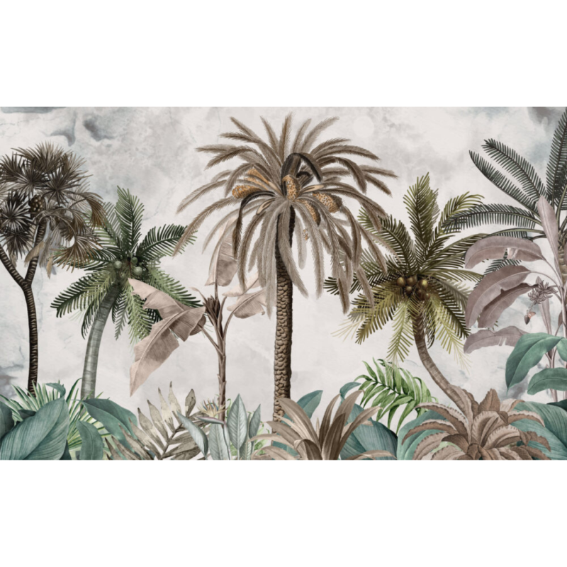 TM | Coconut Palm | MUR7235