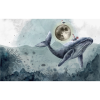 TM | House on Whale | MUR7295