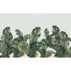 TM | Tropical Palm Leaves | MUR7374