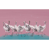 TM | White Cranes | MUR8010