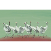TM | White Cranes | MUR8010