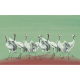 TM | White Cranes | MUR8010