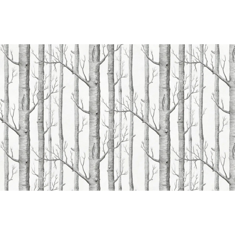 TM | Birch Tree | MUR8096