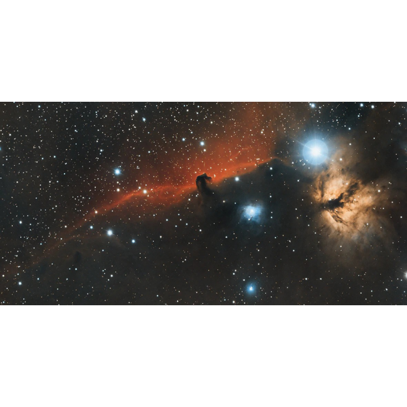 Honpo WP | A Dark Matter Journey
