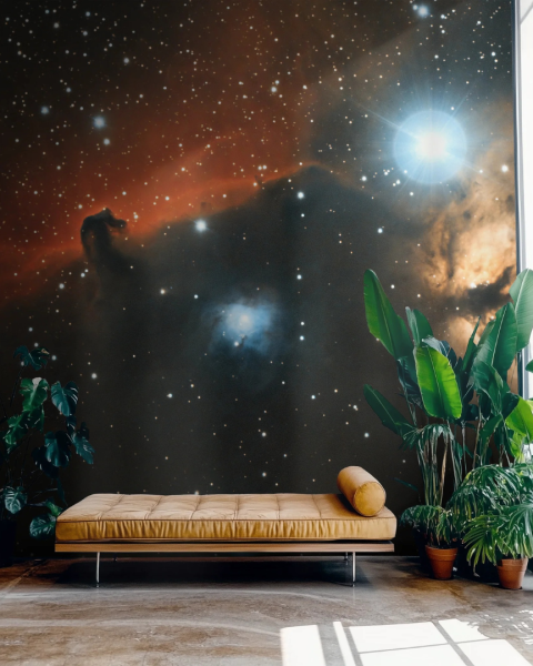 Honpo WP | A Dark Matter Journey
