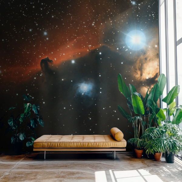 Honpo WP | A Dark Matter Journey