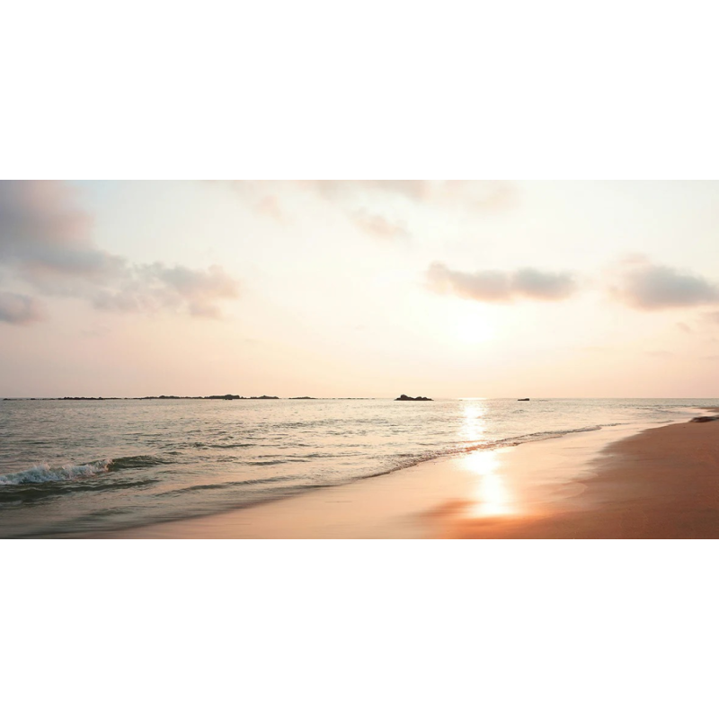 Honpo WP | Amber Shore