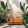 Honpo WP | Amber Shore