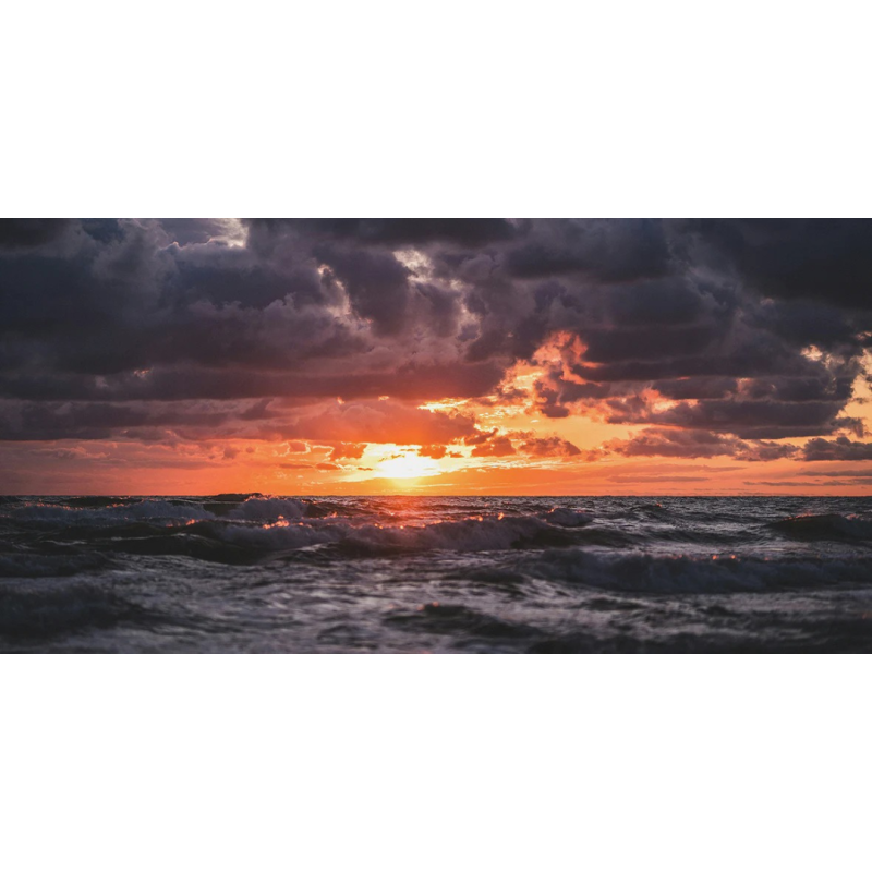 Honpo WP | Ash and Amber Tide