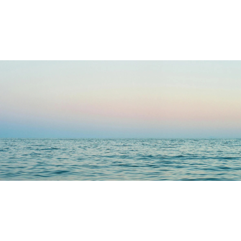Honpo WP | Dawnglass