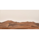 Honpo WP | Desert Reverie