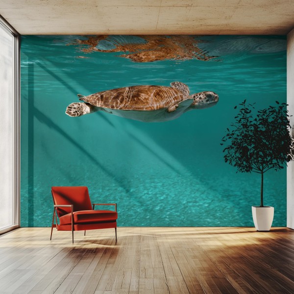 Honpo WP | Glass Tide
