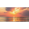 Honpo WP | Golden Break