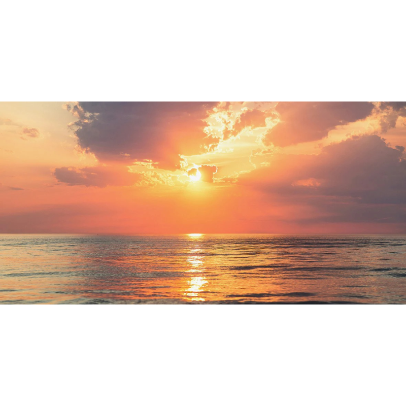 Honpo WP | Golden Break