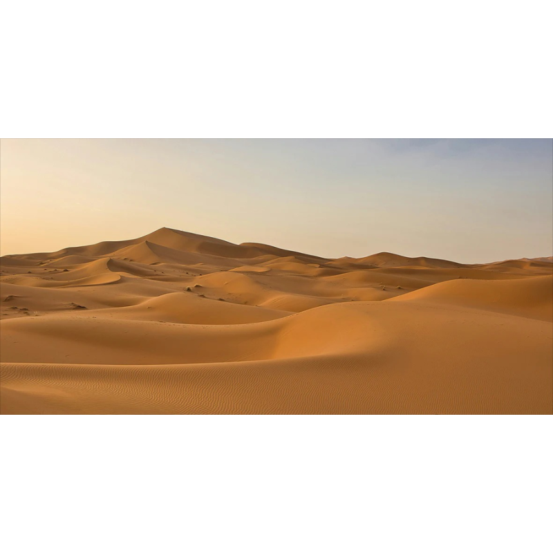 Honpo WP | Golden Hour Mirage