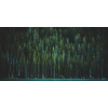 Honpo WP | Greenfall