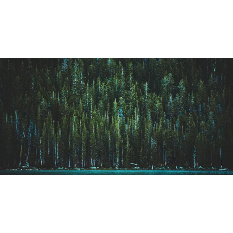 Honpo WP | Greenfall