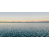Honpo WP | Held Horizon