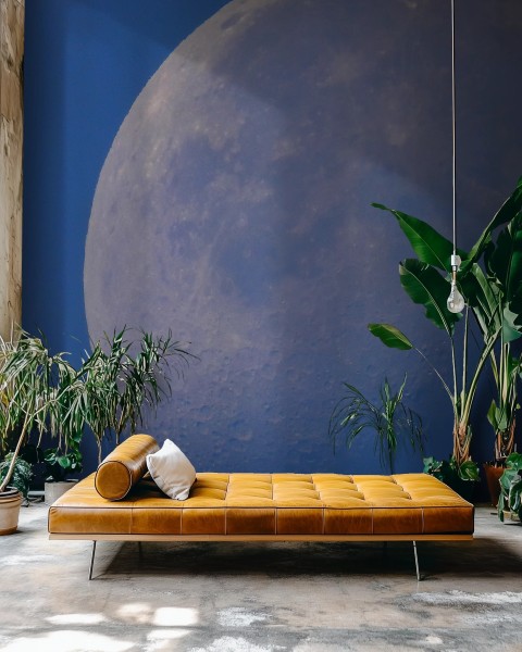 Honpo WP | Lunaris