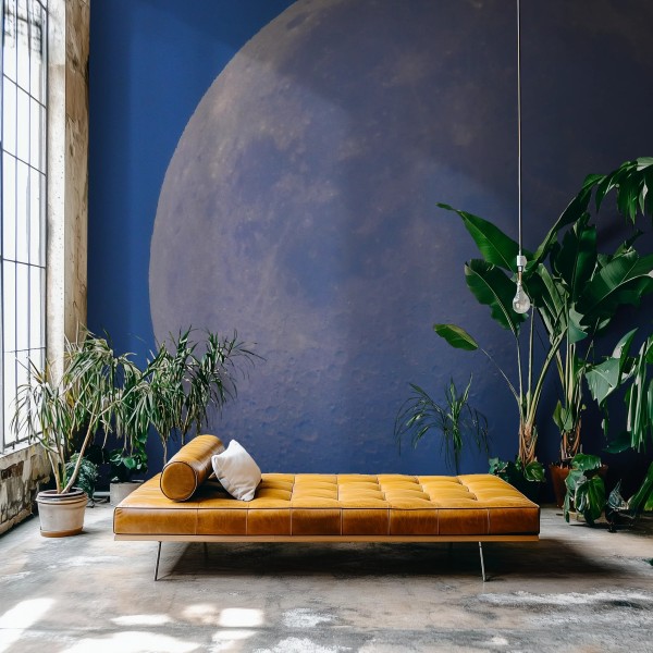 Honpo WP | Lunaris