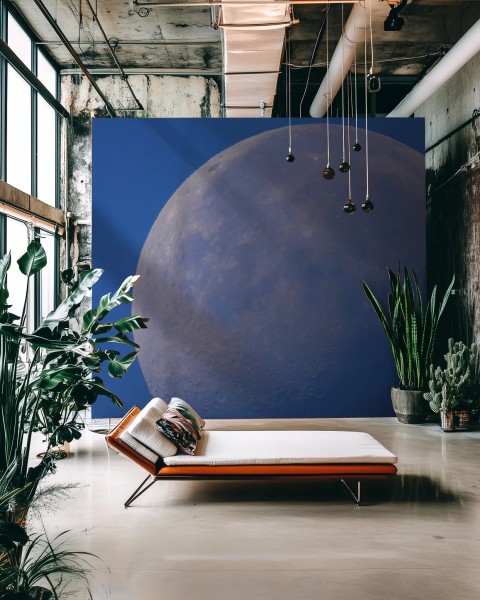 Honpo WP | Lunaris