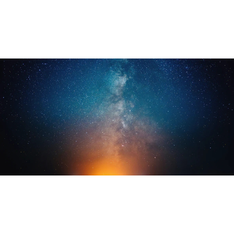 Honpo WP | Midnight Halo
