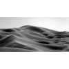Honpo WP | Shifting Lines