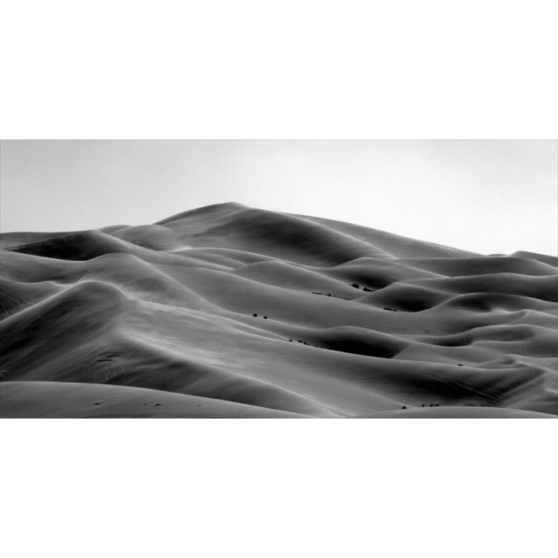 Honpo WP | Shifting Lines
