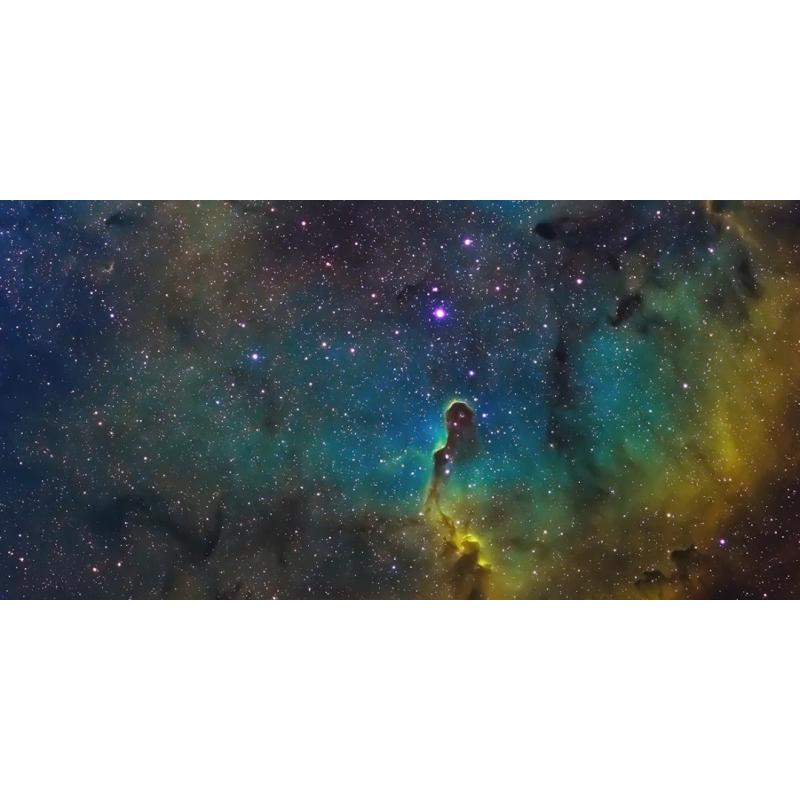 Honpo WP | Starchaser