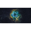 Honpo WP | Stellar Bloom