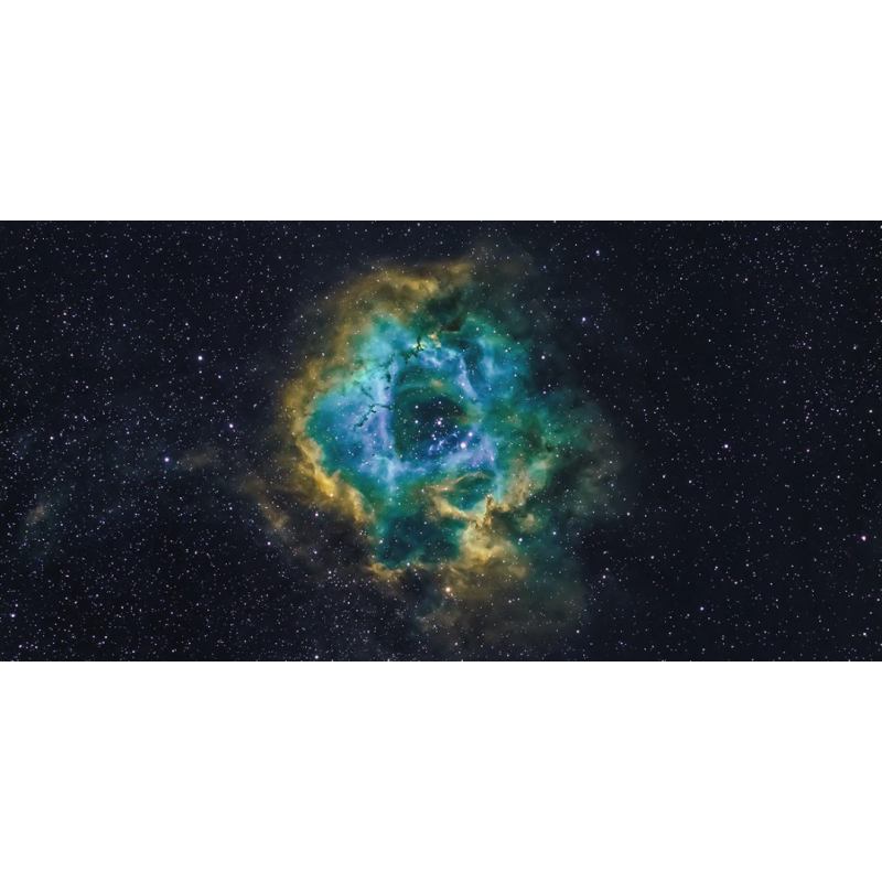 Honpo WP | Stellar Bloom