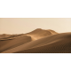 Wild Palace | Sun-Bent Ridges