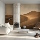 Wild Palace | Sun-Bent Ridges