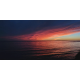 Wild Palace | That Evening, the Water Glowed