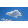 Honpo WP | The Cloud That Didn't Want to Leave