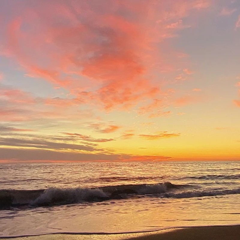 Honpo WP | The Day The Sky Painted Back