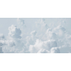 Honpo WP | The Quiet Above Everything