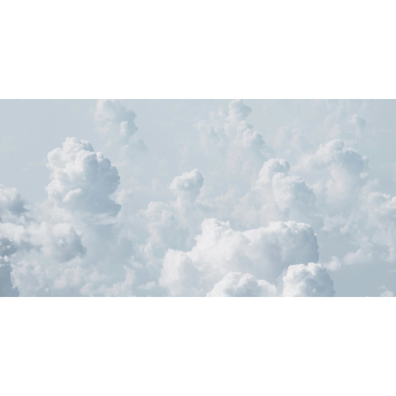 Honpo WP | The Quiet Above Everything