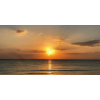 Honpo WP | The Sea That Held the Light