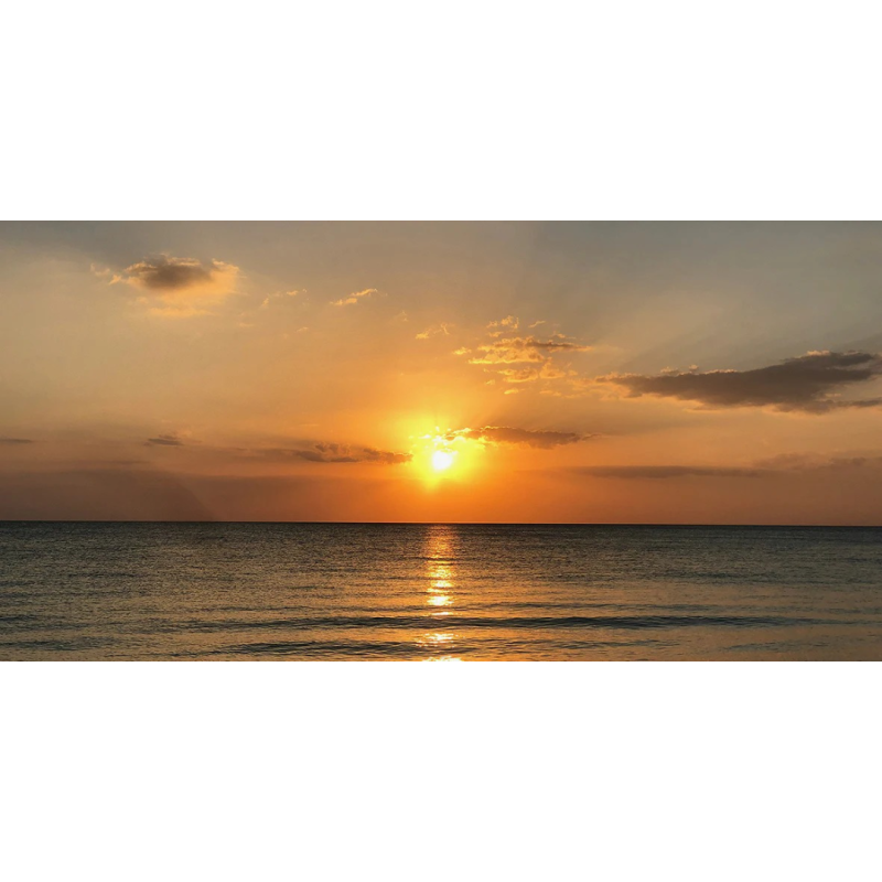 Honpo WP | The Sea That Held the Light