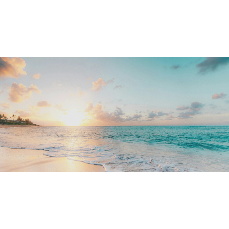 Honpo WP | The Shoreline Bathed in Light