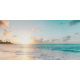 Wild Palace | The Shoreline Bathed in Light
