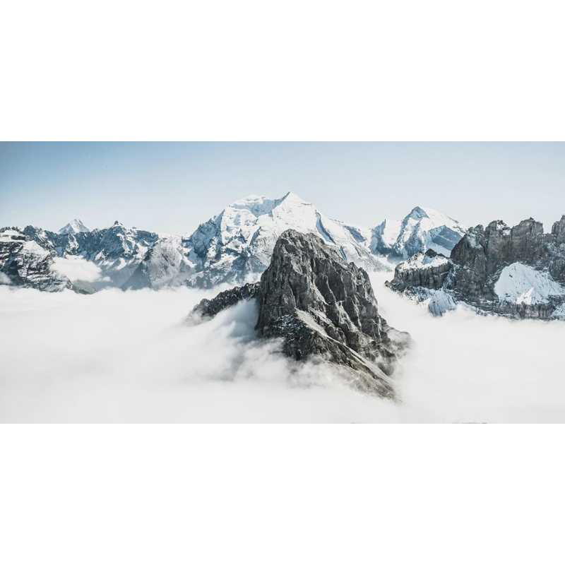 Honpo WP | The Silence Beneath the Snow