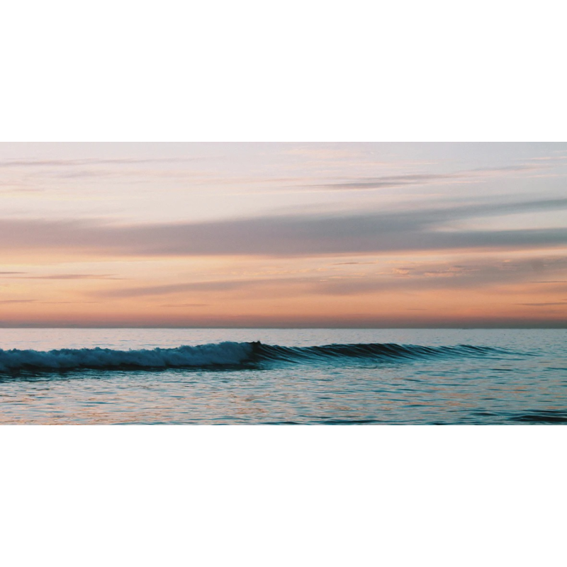 Honpo WP | Tide Song